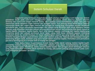 organisme yang termasuk chepalodpoda salah satunya adalah cumu-cumi (loligo sp.). Sistem
peredaran darah pada cum-cumi menggunakan sistem peredaran darah tertutup. System sirkulasi
tertutup dari cumi-cumi sangat menarik karena ada 3 pompa untuk memelihara sirkulasi. Satu jantung
memompa darah kesemua organ internal dan jaringan tubuh. Dua jantung lainya benar-benar bekerja
memompa darah dari organ-organ internal dan jaringan ke insang,yang merupakan tempat terjadinya
pertukaran gas. Untuk memahami keuntungan dari system yang demikian baik untuk diketahui bahwa
tekanan yang dihasilkan kontraksi sebuah jantung seluruhnya hampir berhamburan,bila darah masuk ke
kapiler-kapiler. Meskipun kapiler-kapiler kecil total daerah sayatan melintang dari kapiler-kapileryang
menerima darah dari sebuah pembuluh darah besar cukup lebih besar daripada sayatan melintang
pembuluh darah itu sendiri.Keadaan ini dapat dibandingkan seperti apa yang terjadi ,bila suatu aliran
tertentu mengalir dengan cepat,tersebar pada suatu dataran yang rata. Tekanan dan kecepatan mengalir
berkurang dengan cepat. Keadaan yang sama terjadi dalam anyaman kapiler. Perhatikan pula pertukaran
gas harus berlangsung di 2 tempat ialah di insang dan jaringan.
Pada kedua kasus itu,pertukaran terjadi hanya ketika darah sedang melalui kapiler-kapilr.
Jadi,ketika melalui insang-insang,darah kehilangan tekanan yang dapat menyebarkanya ke jaringan-
jaringan dengan cepat. Sebaliknya ,ketika melalui kapiler-kapiler dari jaringan,darah kehilangan tekanan
yang dapat kemudian memaksa darah kembali ke insang. jadi,system jantung yang terpisah pada cumi-
cumi mengatasi persoalan tersebut.
Sistem Sirkulasi Darah
 