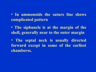 • In ammonoids the suture line shows
complicated pattern
• The siphuncle is at the margin of the
shell, generally near to the outer margin
• The septal neck is usually directed
forward except in some of the earliest
chamberss.
 