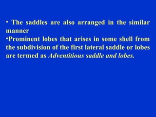 • The saddles are also arranged in the similar
manner
•Prominent lobes that arises in some shell from
the subdivision of the first lateral saddle or lobes
are termed as Adventitious saddle and lobes.
 
