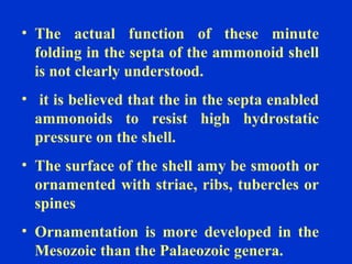 • The actual function of these minute
folding in the septa of the ammonoid shell
is not clearly understood.
• it is believed that the in the septa enabled
ammonoids to resist high hydrostatic
pressure on the shell.
• The surface of the shell amy be smooth or
ornamented with striae, ribs, tubercles or
spines
• Ornamentation is more developed in the
Mesozoic than the Palaeozoic genera.
 