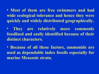 • Most of them are free swimmers and had
wide ecological tolerance and hence they were
quickly and widely distributed geographically.
• They are relatively more commonly
fossilised and easily identified because of their
distinct characters.
• Because of all these factors, ammonids are
used as dependable index fossils especially for
marine Mesozoic strata.
 