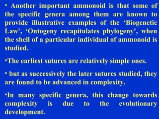 • Another important ammonoid is that some of
the specific genera among them are known to
provide illustrative examples of the ‘Biogenetic
Law’, ‘Ontogeny recapitulates phylogeny’, when
the shell of a particular individual of ammonoid is
studied.
•The earliest sutures are relatively simple ones.
• but as successively the later sutures studied, they
are found to be advanced in complexity.
•In many specific genera, this change towards
complexity is due to the evolutionary
development.
 