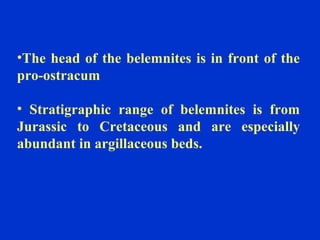 •The head of the belemnites is in front of the
pro-ostracum
• Stratigraphic range of belemnites is from
Jurassic to Cretaceous and are especially
abundant in argillaceous beds.
 