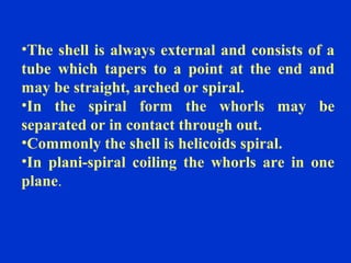 •The shell is always external and consists of a
tube which tapers to a point at the end and
may be straight, arched or spiral.
•In the spiral form the whorls may be
separated or in contact through out.
•Commonly the shell is helicoids spiral.
•In plani-spiral coiling the whorls are in one
plane.
 