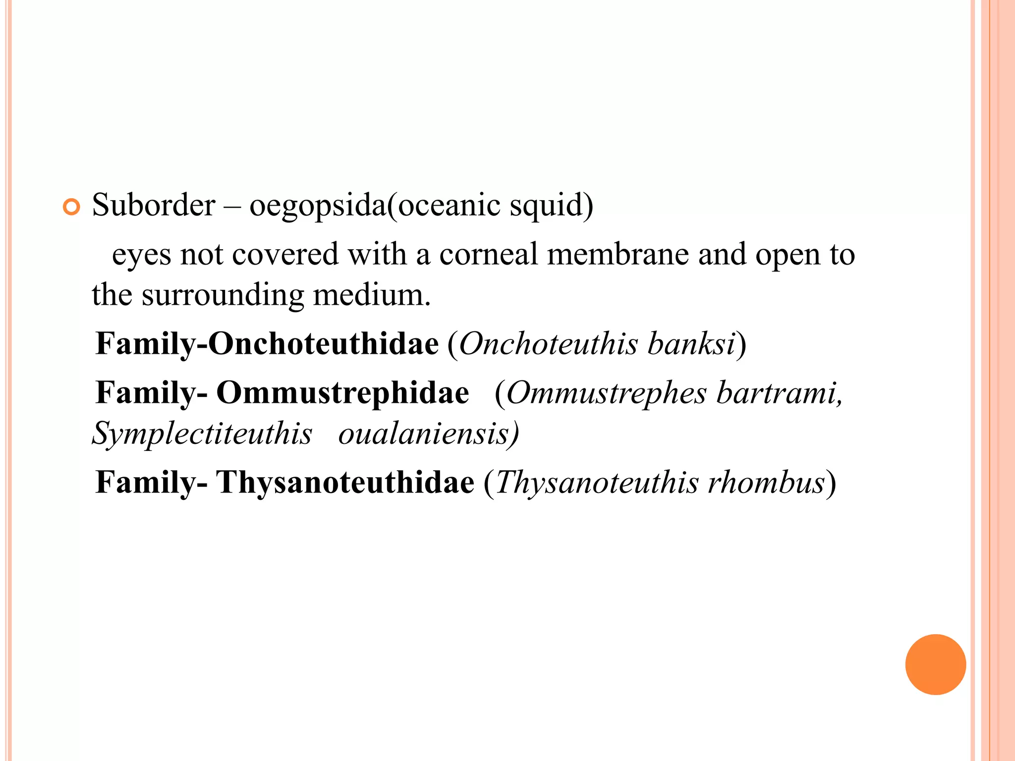 Suborder Cephalopod taxonomy | PPTX