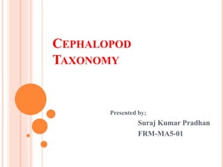CEPHALOPOD
TAXONOMY
Presented by;
Suraj Kumar Pradhan
FRM-MA5-01
 