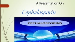 A Presentation On
Cephalosporin
 
