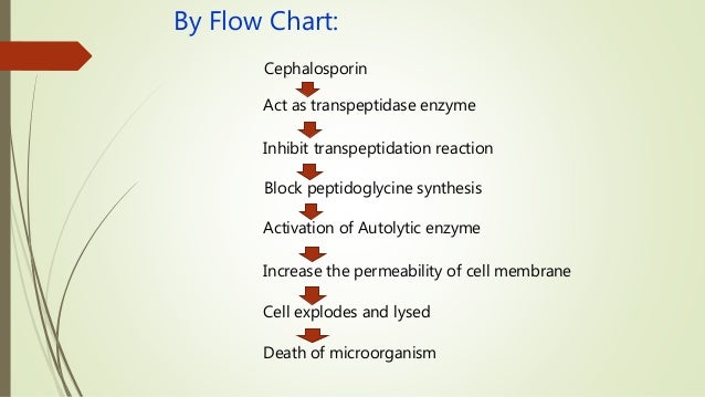 Cephalosporin Generation Chart
