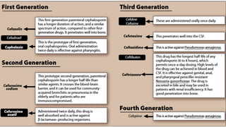 CEPHALOSPORIN.                                              pdf