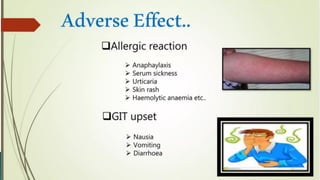 CEPHALOSPORIN.                                              pdf