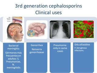 3rd generation cephalosporins Clinical uses 