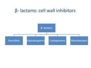β - lactams: cell wall inhibitors 