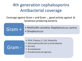 4th generation cephalosporins Antibacterial coverage Coverage against Gram + and Gram -,  good activity against  β -lactamase producing bacteria. 