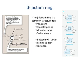 β -lactam ring The  β -lactam ring is a common structure for: Penicillins Cephalosporins Monobactams Carbapenems  Bacteria will target this ring to gain resistance.  