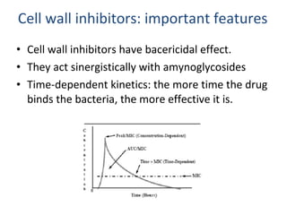 Cell wall inhibitors: important features Cell wall inhibitors have bacericidal effect. They act sinergistically with amynoglycosides Time-dependent kinetics: the more time the drug binds the bacteria, the more effective it is. 