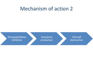 Mechanism of action 2 