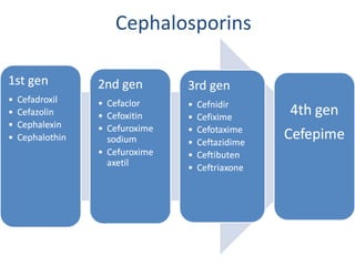 Cephalosporins 