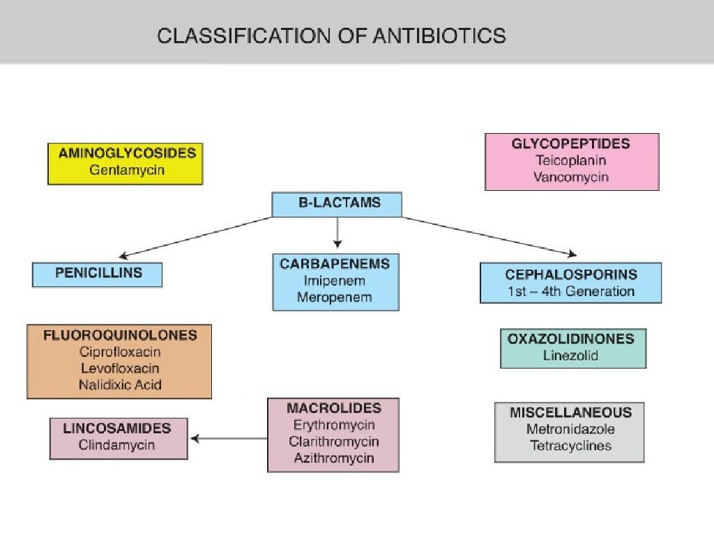 cephalosporins