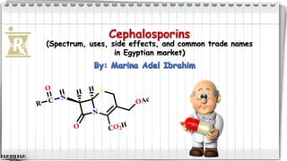 Cephalosporins
(Spectrum, uses, side effects, and common trade names
in Egyptian market)
N
S
OAc
CO2HO
H
N
H H
C
O
R
 
