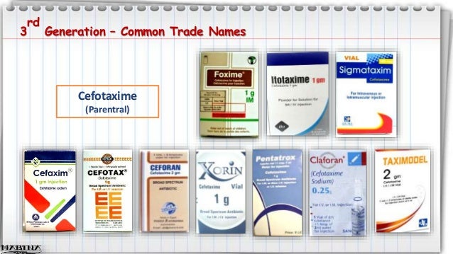 Cephalexin Oral Bioavailability