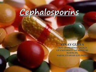 Cephalosporins
VINAY GUPTA
DEPT OF PHARMACOLOGY
UP UNIVERSITY OF MEDICAL
SCIENCES,
SAIFAI, ETAWAH (UP) INDIA
 