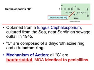 Cephalosporins “C”
• Obtained from a fungus Cephalosporium,
cultured from the Sea, near Sardinian sewage
outfall in 1945.
• “C” are composed of a dihydrothiazine ring
and a b-lactam ring.
• Mechanism of Action: all “C” are
bactericidal, MOA identical to penicillins.
Dihydrothiazine ring
 