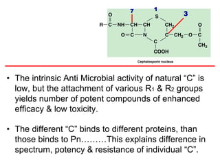 • The intrinsic Anti Microbial activity of natural “C” is
low, but the attachment of various R1 & R2 groups
yields number of potent compounds of enhanced
efficacy & low toxicity.
• The different “C” binds to different proteins, than
those binds to Pn………This explains difference in
spectrum, potency & resistance of individual “C”.
 