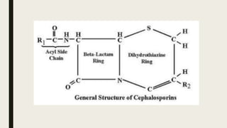 Cephalosporins