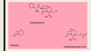 Cephalosporins
