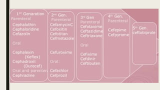 Cephalosporins