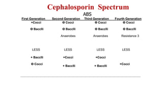 Cephalosporins | PPTX