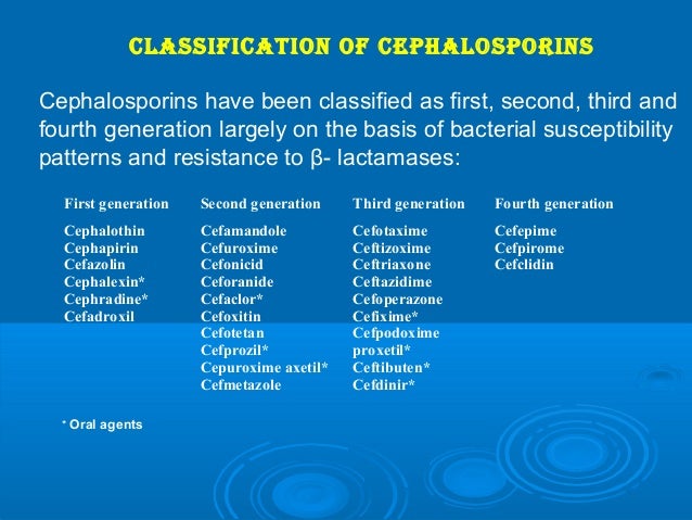 cephalosporins