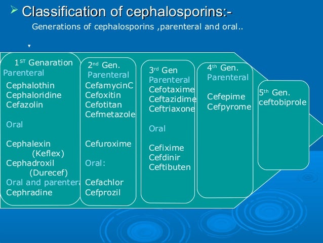 cephalosporins