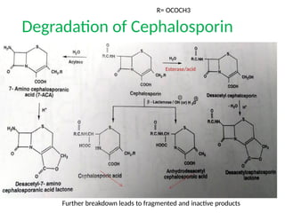 Cephamtrique Cepham drugs.pptx-Drugs containing Cepham, Cephem Structure | PPTX