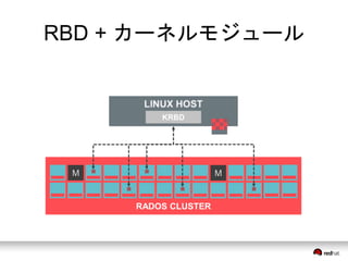 RBD + カーネルモジュール 
RADOS CLUSTER 
 