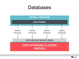Databases 
Native 
Protocol 
Native 
Protocol 
Native 
Protocol 
Native 
Protocol 
 