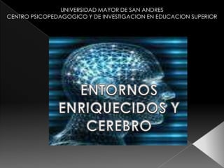 UNIVERSIDAD MAYOR DE SAN ANDRES CENTRO PSICOPEDAGOGICO Y DE INVESTIGACION EN EDUCACION SUPERIOR ENTORNOS ENRIQUECIDOS Y CEREBRO 