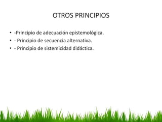 OTROS PRINCIPIOS
• -Principio de adecuación epistemológica.
• - Principio de secuencia alternativa.
• - Principio de sistemicidad didáctica.
16
 