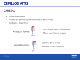 www.vitis.es
CEPILLOS VITIS
 Forma adiamantada
 Tamaño que permite llegar hasta zonas de difícil acceso
 2 cabezales di...