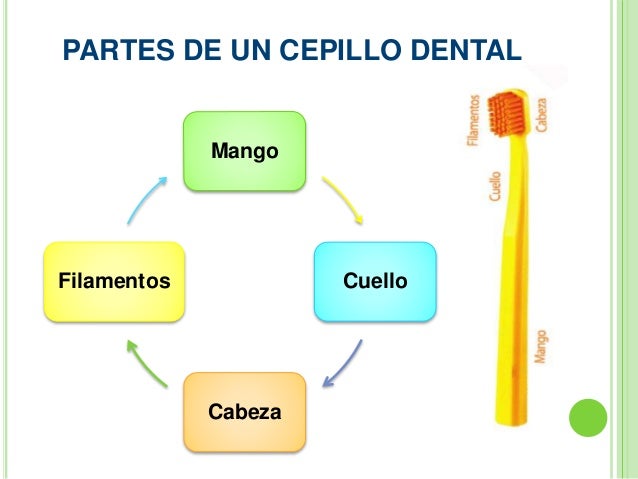 Cepillos dentales