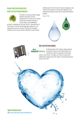 Resource efficiency in the pulp and paper industry - making more from ...