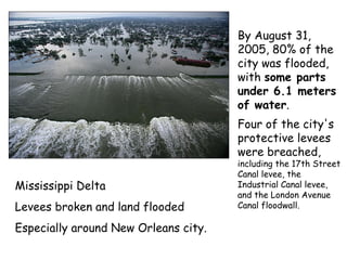 Mississippi Delta
Levees broken and land flooded
Especially around New Orleans city.
By August 31,
2005, 80% of the
city was flooded,
with some parts
under 6.1 meters
of water.
Four of the city's
protective levees
were breached,
including the 17th Street
Canal levee, the
Industrial Canal levee,
and the London Avenue
Canal floodwall.
 