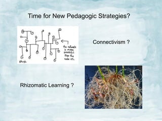Time for New Pedagogic Strategies?

Connectivism ?

Rhizomatic Learning ?

 