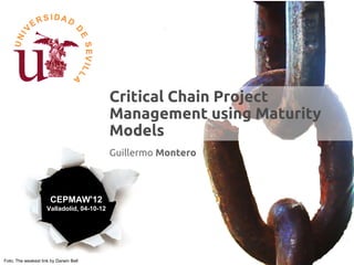Critical Chain Project
                                            Management using Maturity
                                            Models
                                            Guillermo Montero



                       CEPMAW'12
                     Valladolid, 04-10-12




Foto; The weakest link by Darwin Bell
 