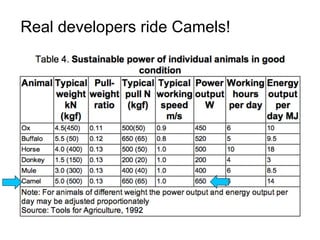 Real developers ride Camels!
 
