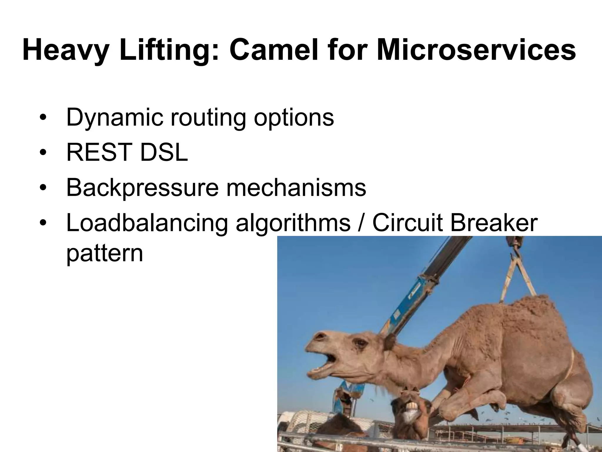 • Dynamic routing options
• REST DSL
• Backpressure mechanisms
• Loadbalancing algorithms / Circuit Breaker
pattern
Heavy Lifting: Camel for Microservices
 