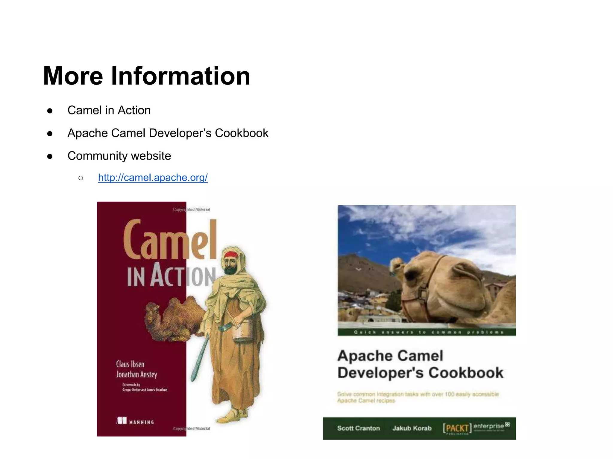 More Information
● Camel in Action
● Apache Camel Developer’s Cookbook
● Community website
○ http://camel.apache.org/
 