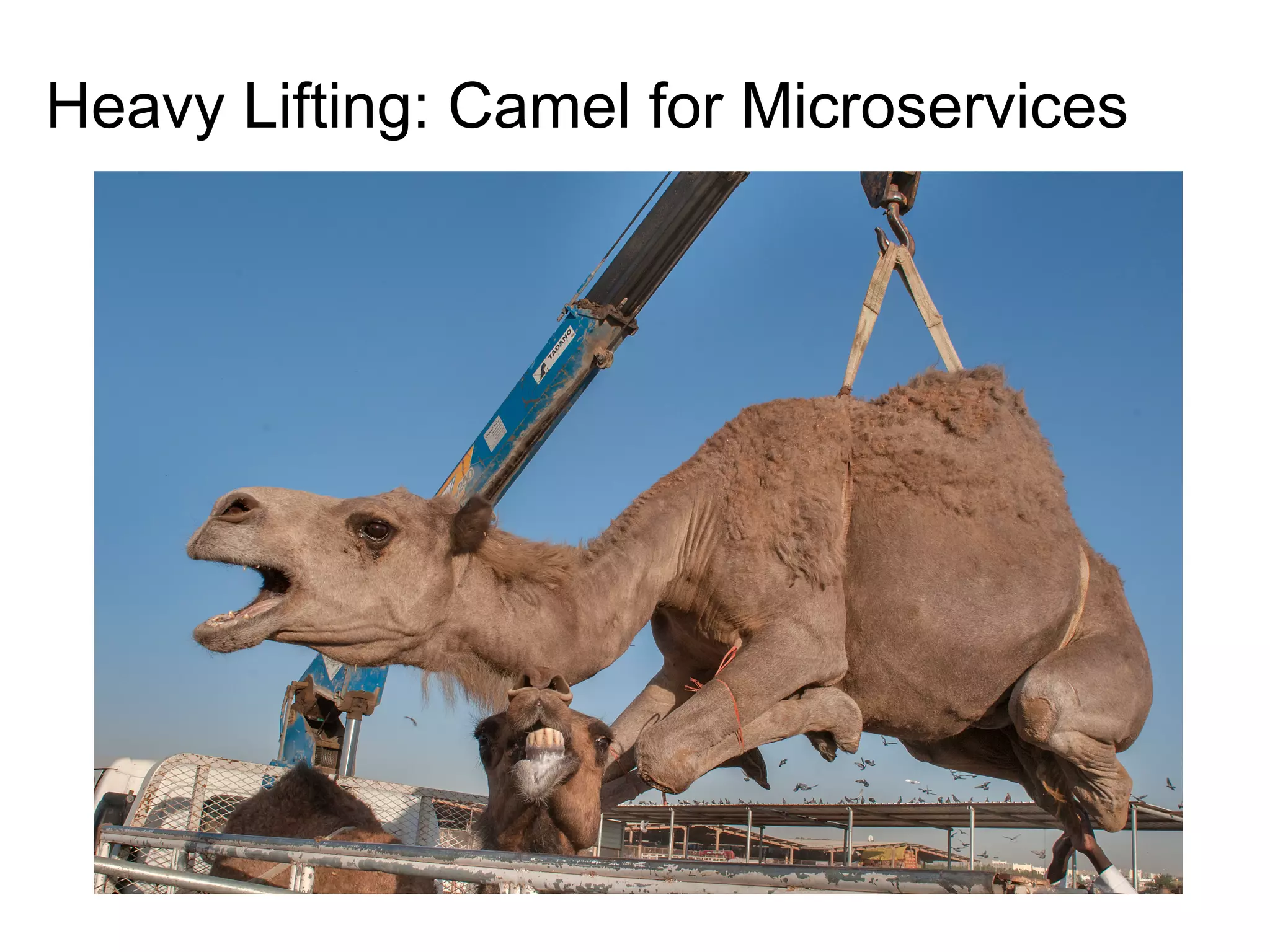 Heavy Lifting: Camel for Microservices
 