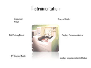 Instrumentation Autosampler Module Fluid Delivery Module XZY Robotics Module Detector Modules Capillary Containment Module Capillary Temperature Control Module 