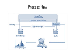 Process Flow 